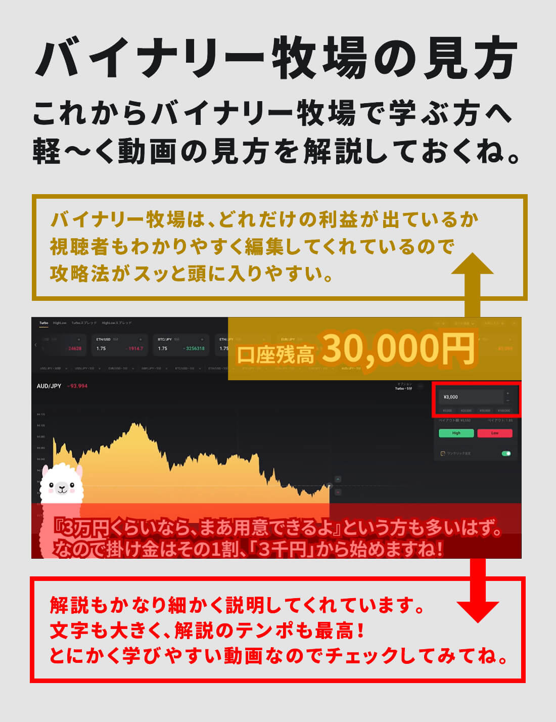 バイナリー牧場の見方