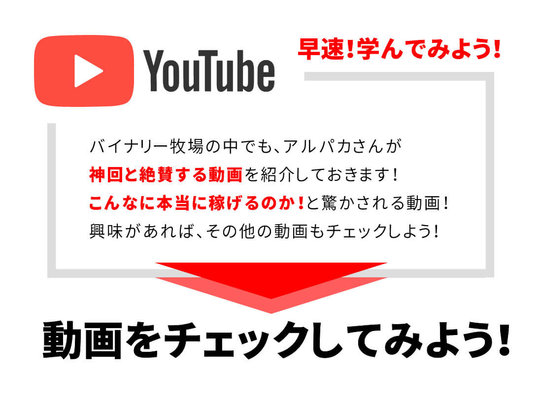 バイナリー牧場の動画をチェック